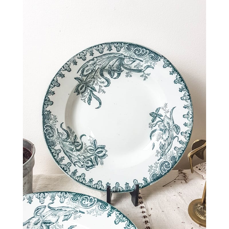 Lot 6 assiettes vintagr creuses modèle 'IRIS' St Amandinoise 1980