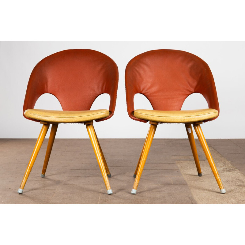 Pair of vintage chairs by Eddie Harlis for Thonet 1950