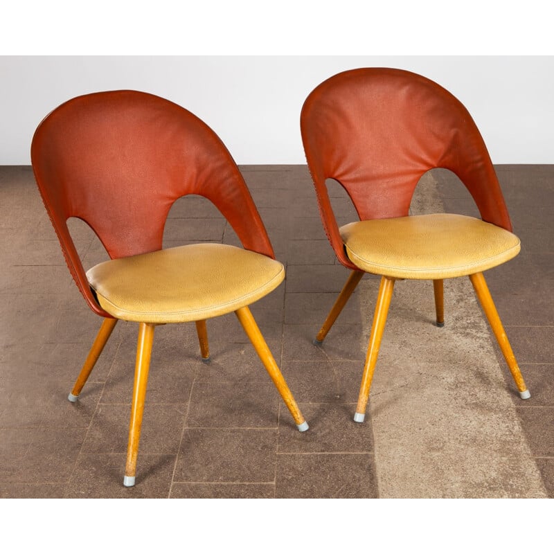 Pair of vintage chairs by Eddie Harlis for Thonet 1950