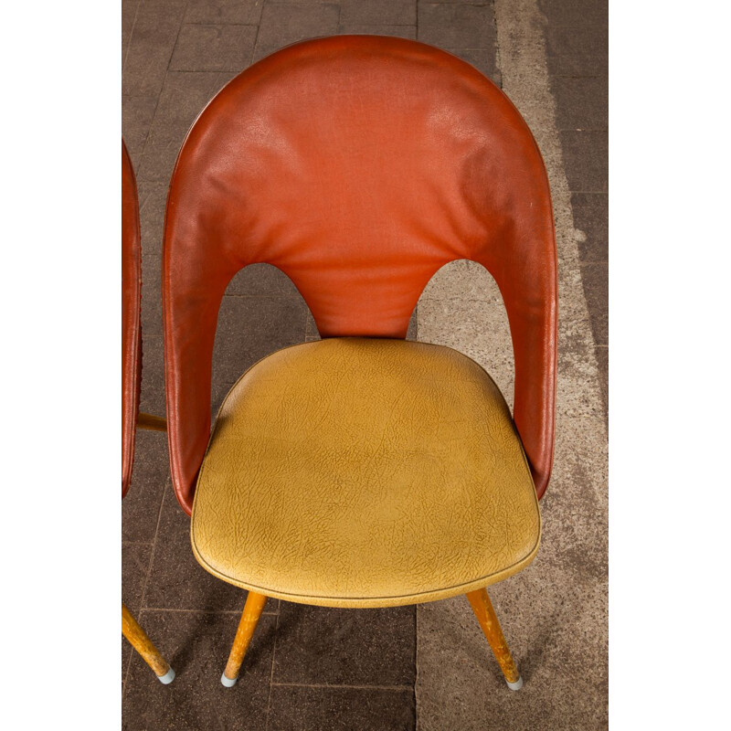 Paar vintage stoelen van Eddie Harlis voor Thonet 1950