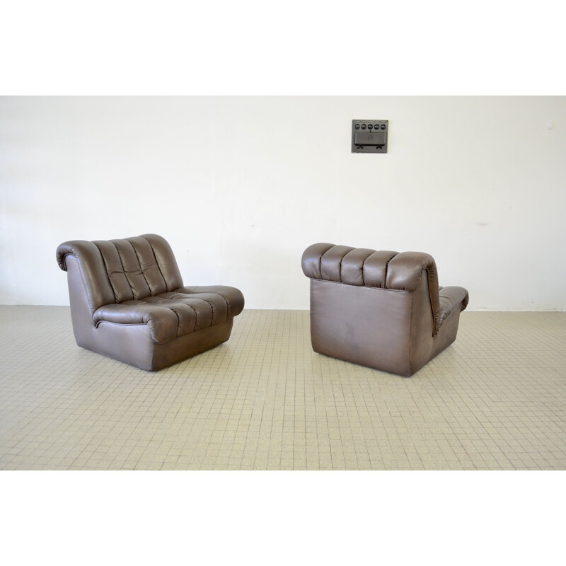 Pair of vintage lounge armchairs, model DS 85, De Sede 1980