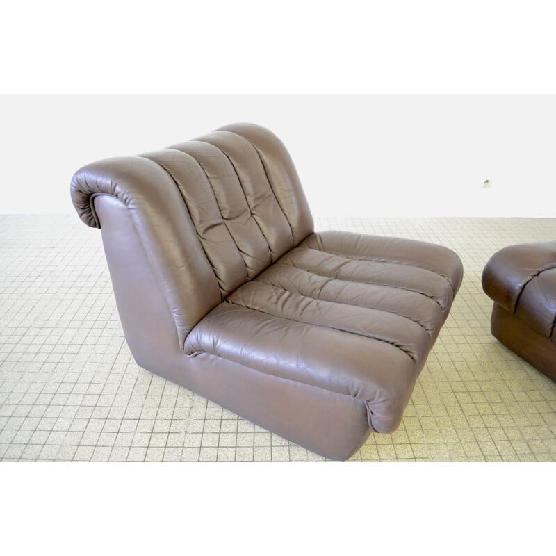 Paire de fauteuils lounge vintage, modèle DS 85, De Sede 1980