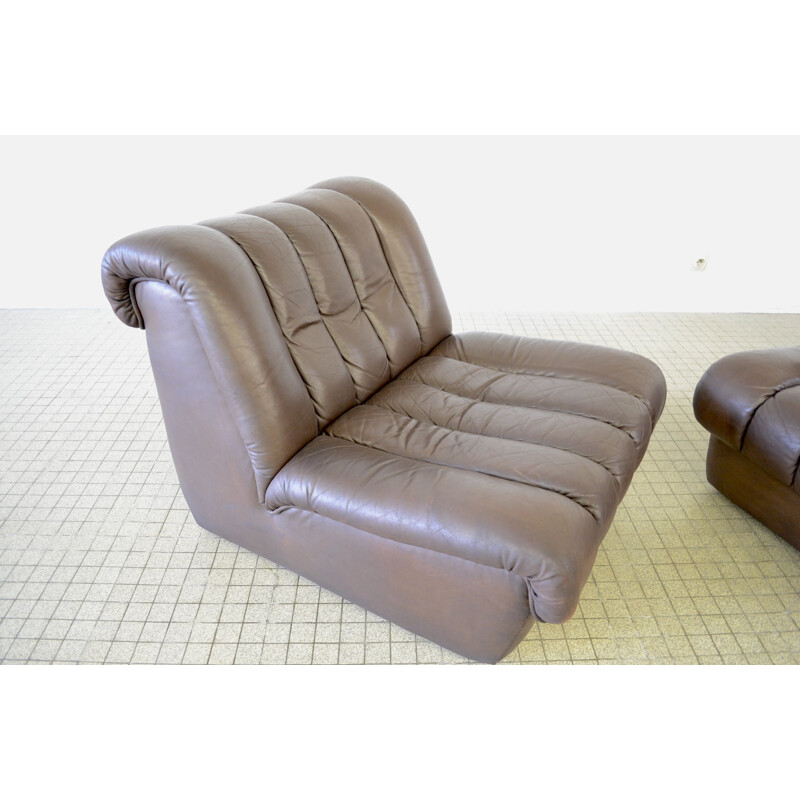 Paire de fauteuils lounge vintage, modèle DS 85, De Sede 1980