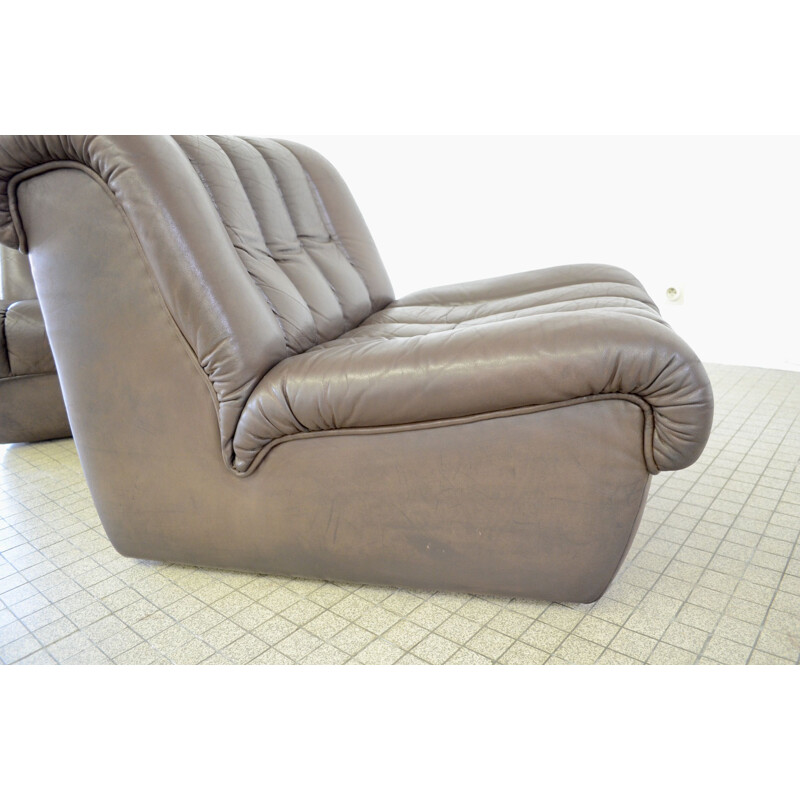 Paire de fauteuils lounge vintage, modèle DS 85, De Sede 1980