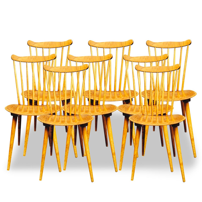 8 Scandinavian walnut chairs - 50s