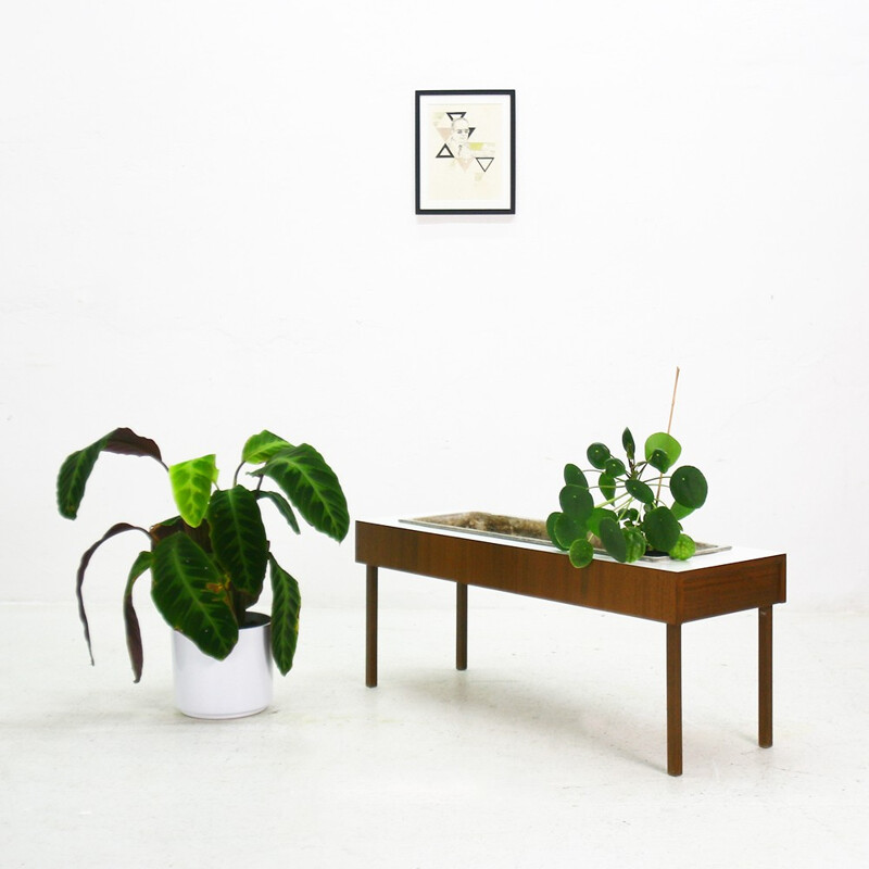 Plant stand in teak, formica and eternit - 1950s