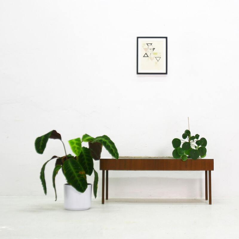 Plant stand in teak, formica and eternit - 1950s
