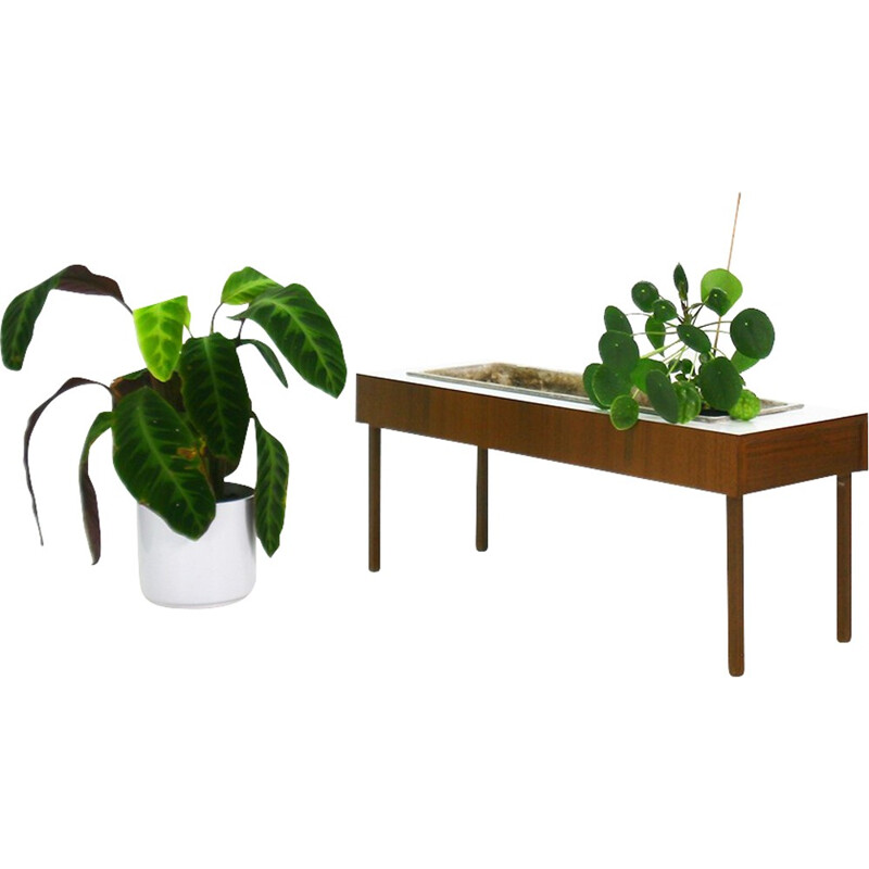 Plant stand in teak, formica and eternit - 1950s