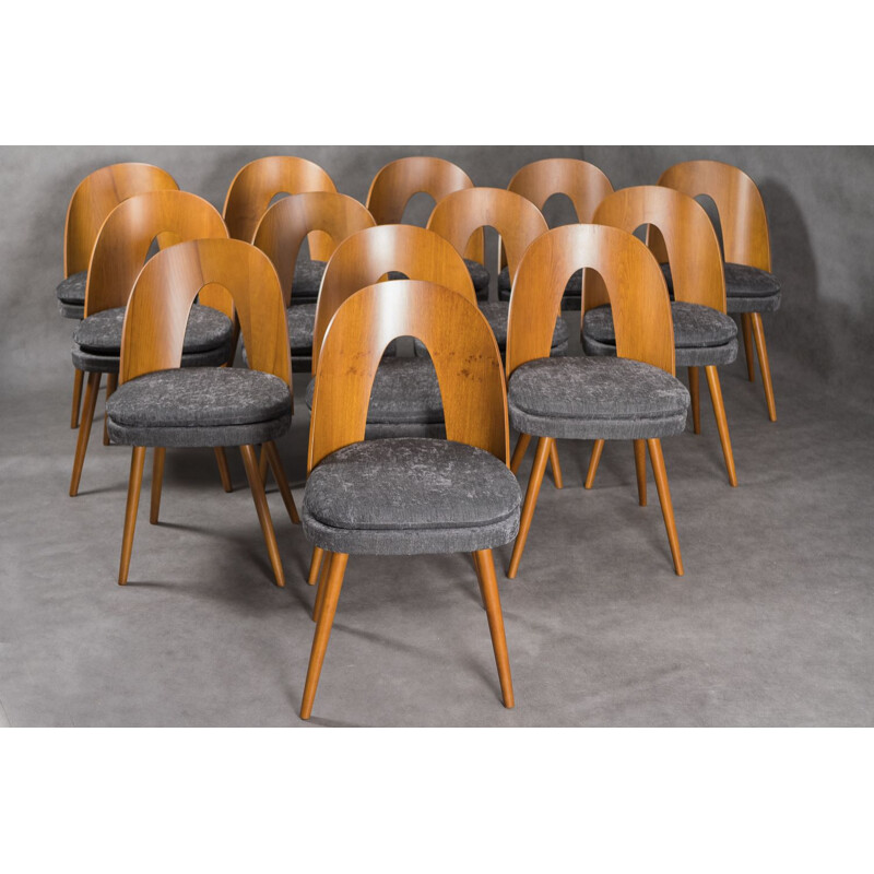 Set of 10 vintage chairs in Walnut and Grey Cloth by Antonin Suman Czech Republic 1960