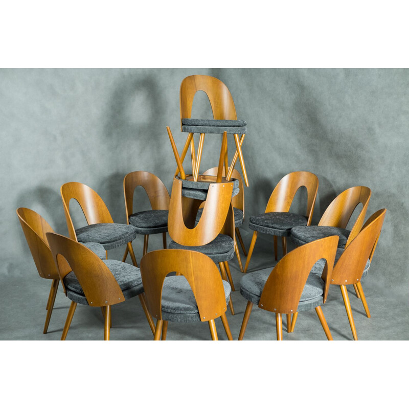 Set of 10 vintage chairs in Walnut and Grey Cloth by Antonin Suman Czech Republic 1960