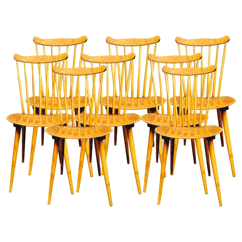 8 Scandinavian walnut chairs - 50s