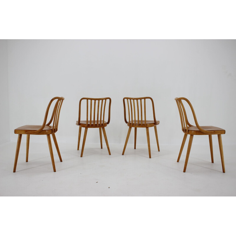 Set of 4 vintage Antonin Suman Dining Chairs Czechoslovakia 1960s