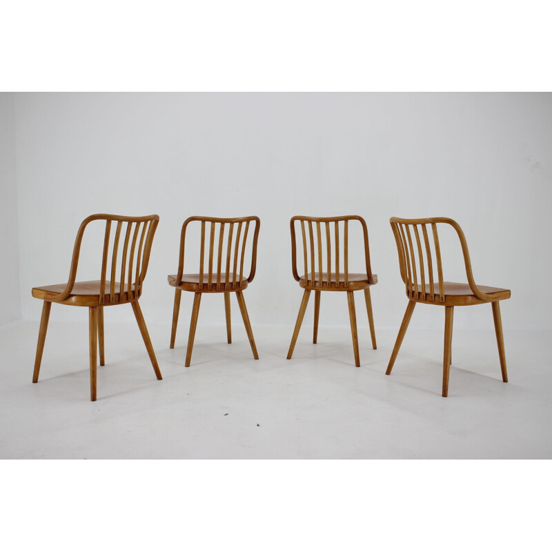 Lot de 4 chaises vintage Antonin Suman d'époque Tchécoslovaquie 1960