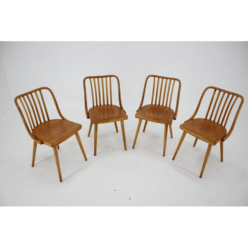 Lot de 4 chaises vintage Antonin Suman d'époque Tchécoslovaquie 1960