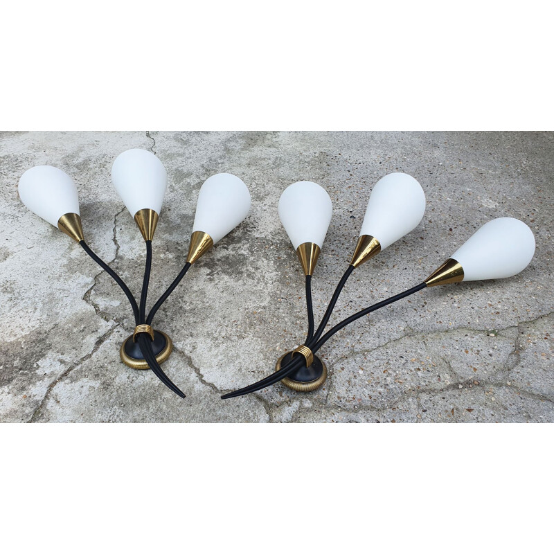 Pair of Arlus Arum vintage wall lights by Jean Royère 1957s