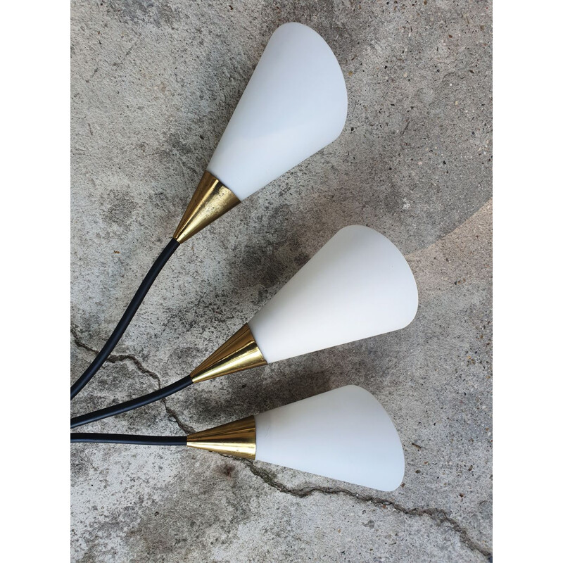 Pair of Arlus Arum vintage wall lights by Jean Royère 1957s