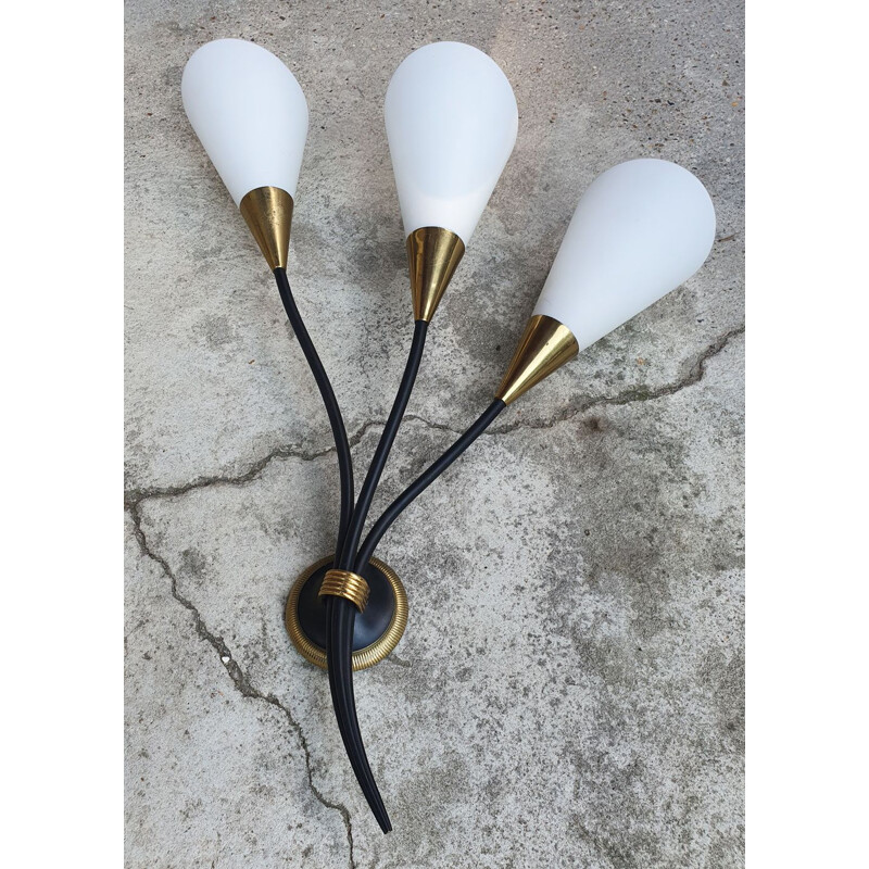 Pair of Arlus Arum vintage wall lights by Jean Royère 1957s