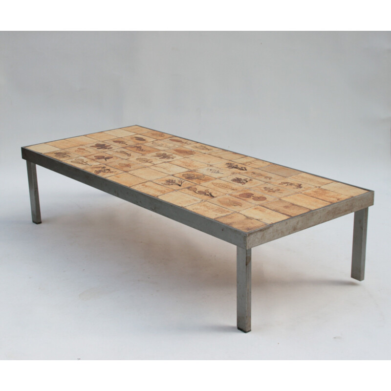 Vintage rectangular coffee table metal and ceramic herbarium by Roger Capron 1960s
