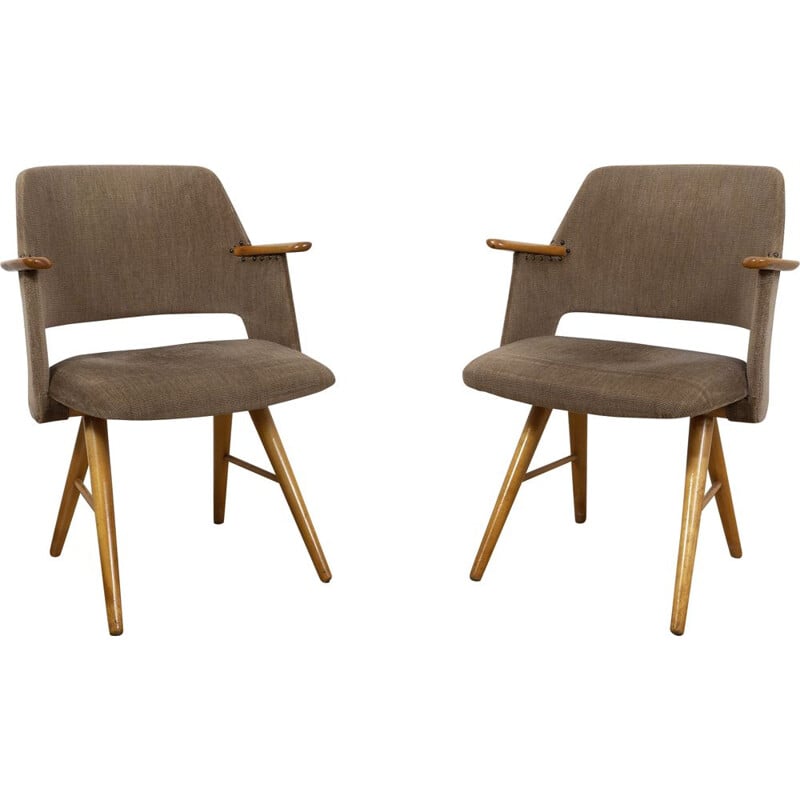 Pair of vintage armchairs by Cees Braakman for Pastoe