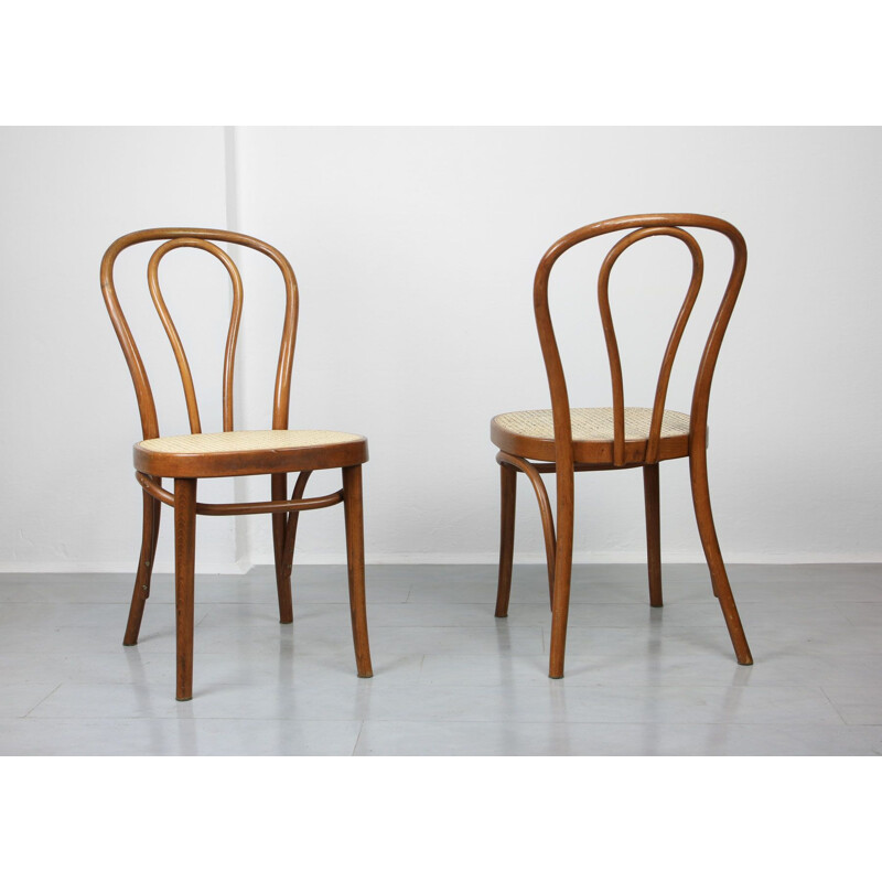 Pair of vintage Brown Chairs by Michael Thonet