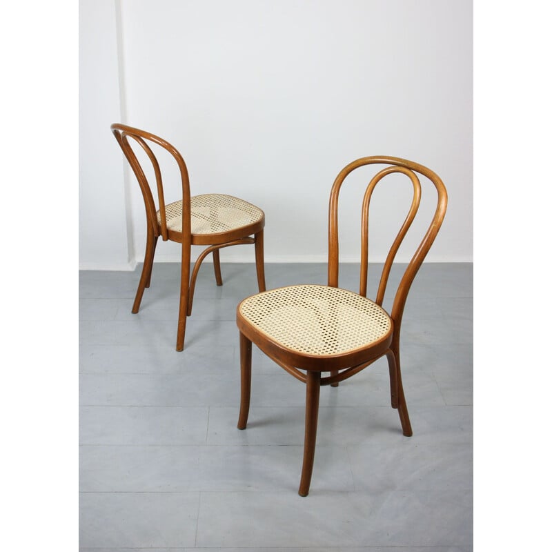 Pair of vintage Brown Chairs by Michael Thonet