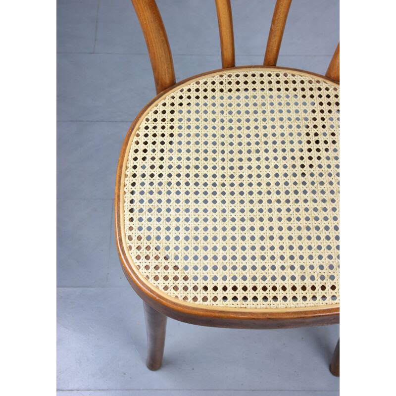 Paire de chaises vintage marron par Michael Thonet