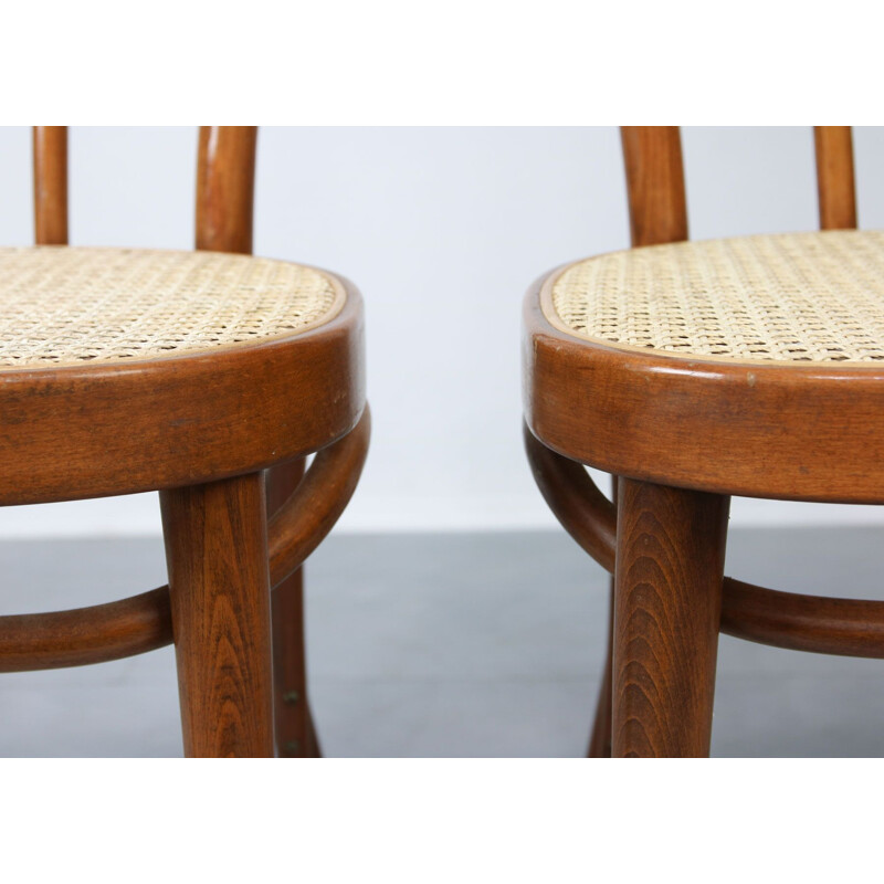 Pair of vintage Brown Chairs by Michael Thonet