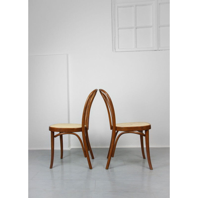 Pair of vintage Brown Chairs by Michael Thonet