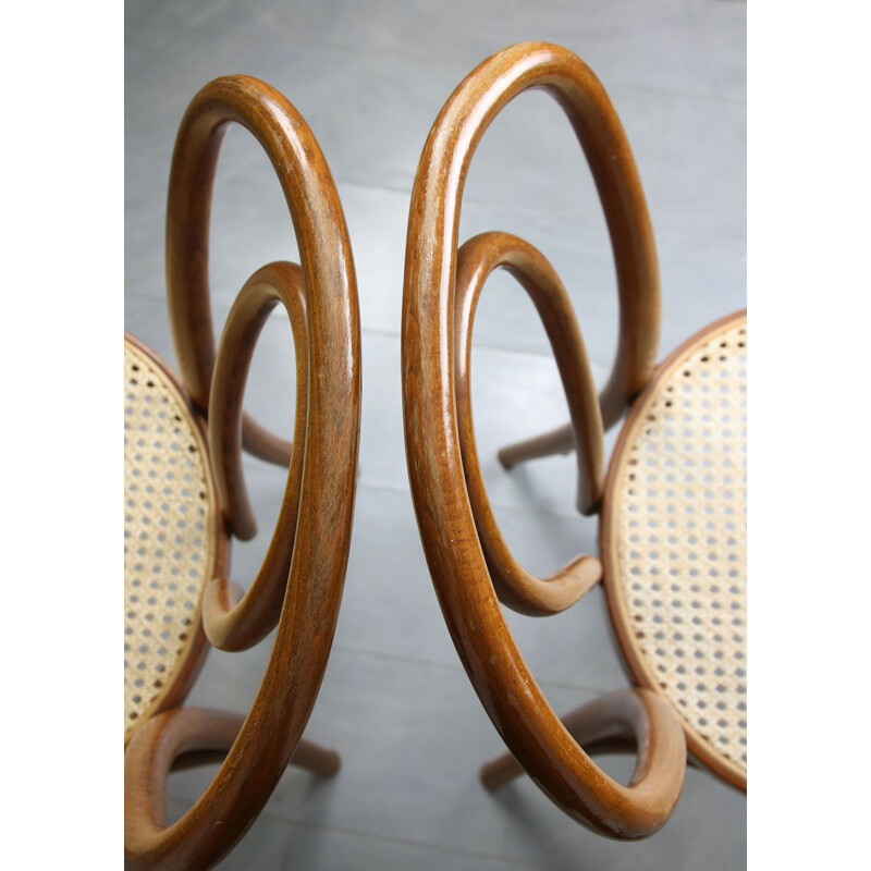 Pair of vintage Brown Chairs by Michael Thonet