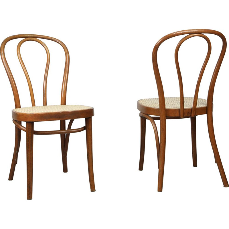 Pair of vintage Brown Chairs by Michael Thonet