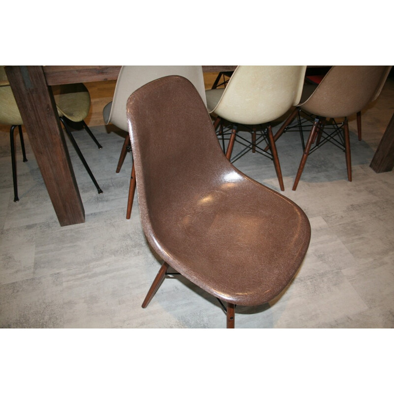 DSW chair dark brown, EAMES - 70