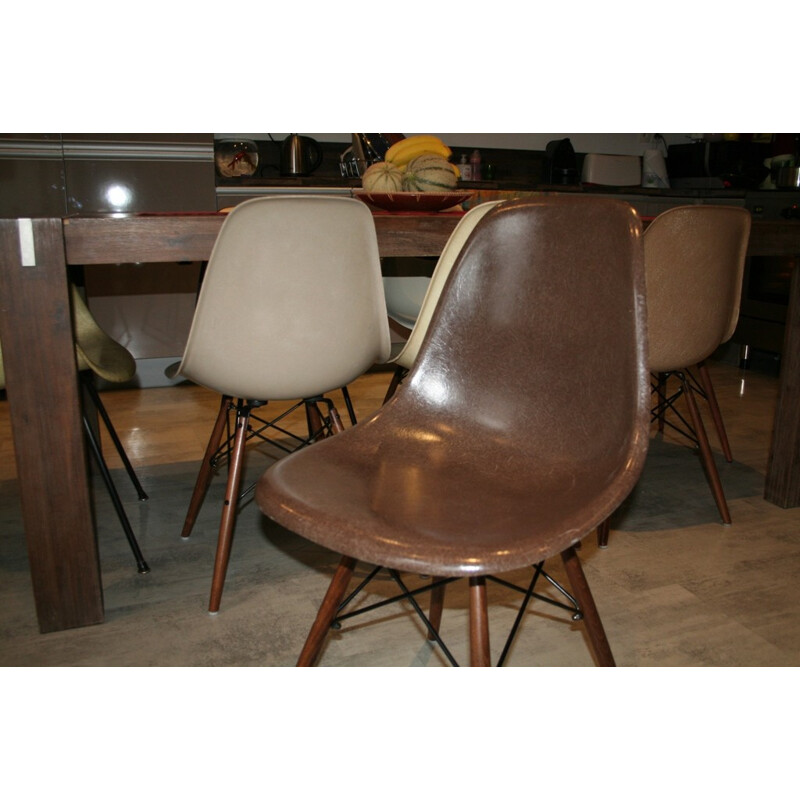 DSW chair dark brown, EAMES - 70