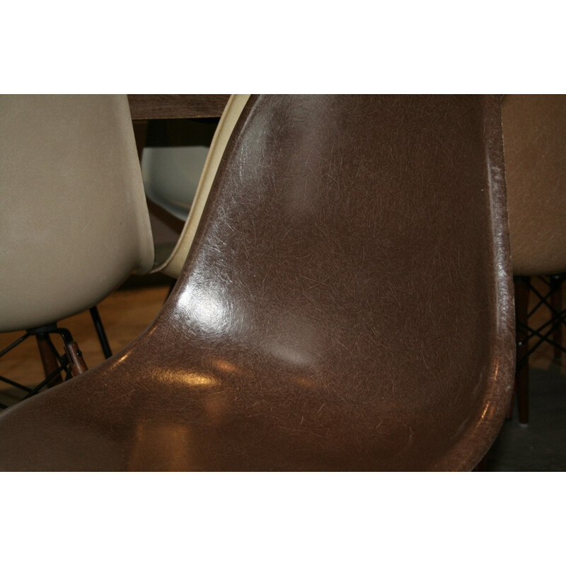Chaise DSW dark brown, EAMES - années 70