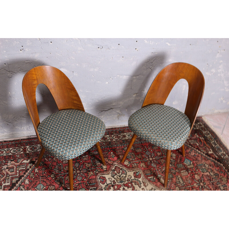 Set of 4 vintage dinning chairs by Antonin Suman Czechoslovakia 1960s