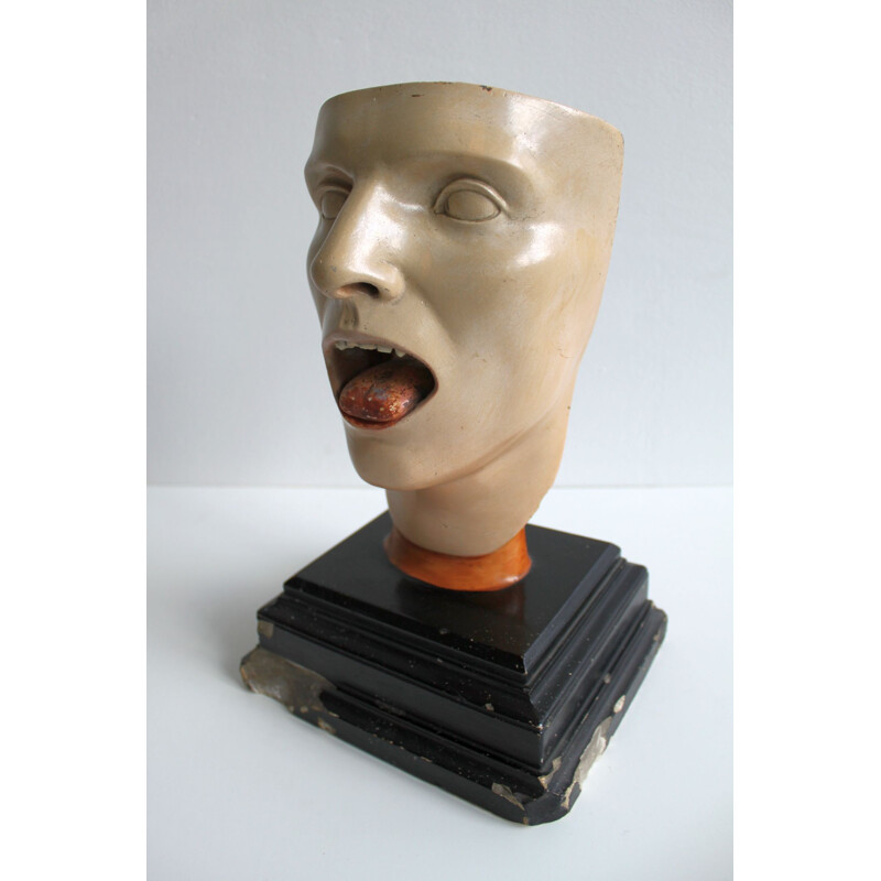 Vintage anatomical model of human face 1930s