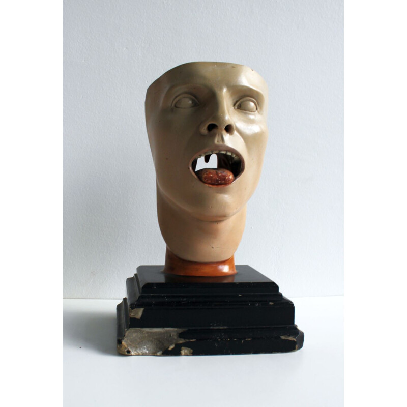 Vintage anatomical model of human face 1930s