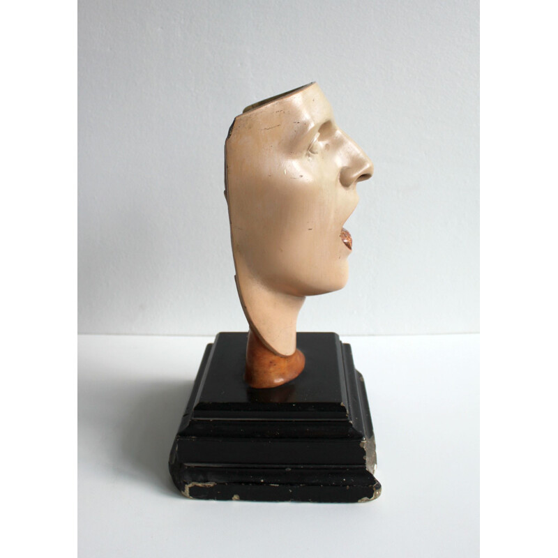 Modèle anatomique vintage de visage humain 1930