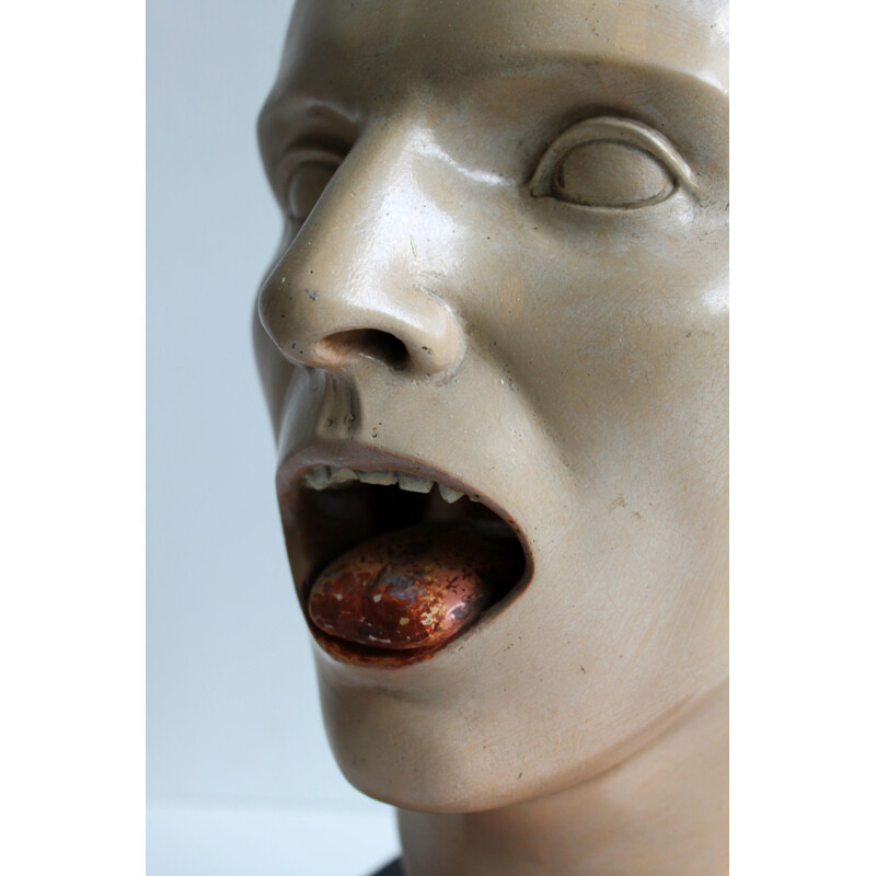 Vintage anatomical model of human face 1930s