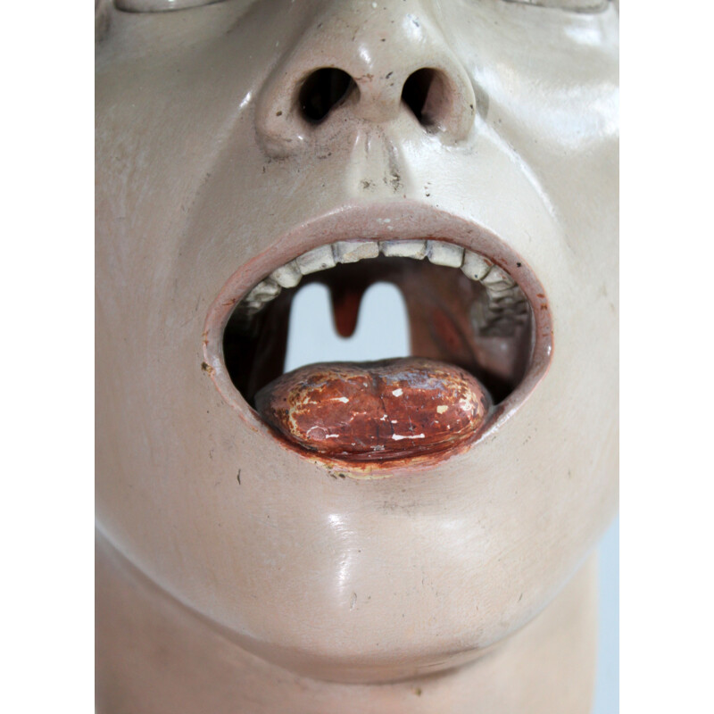 Vintage anatomical model of human face 1930s