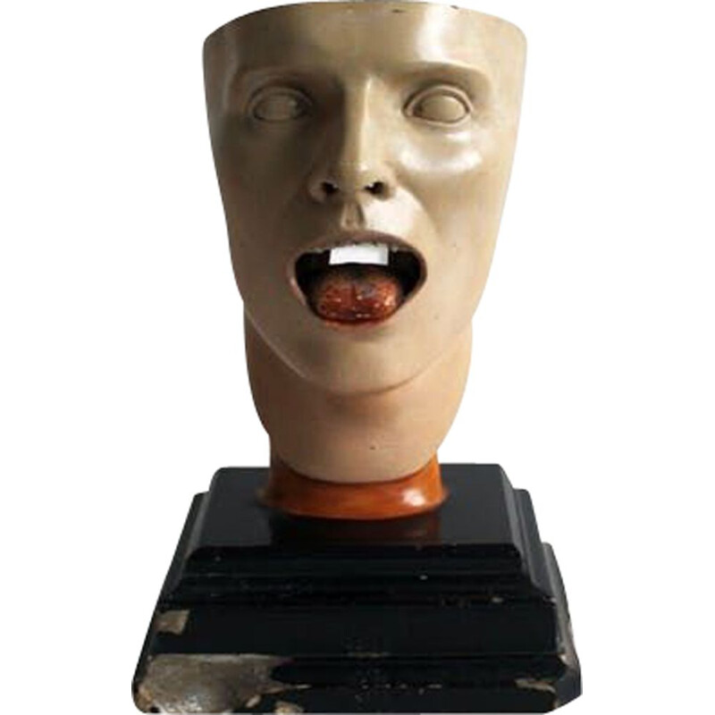 Vintage anatomical model of human face 1930s