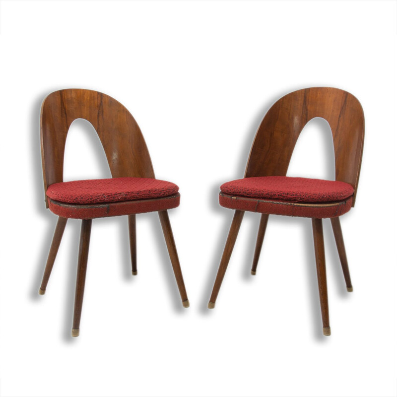 Pair of vintage walnut chairs with beech legs by Antonín Šuman for Tatra nábytok, Czech 1960