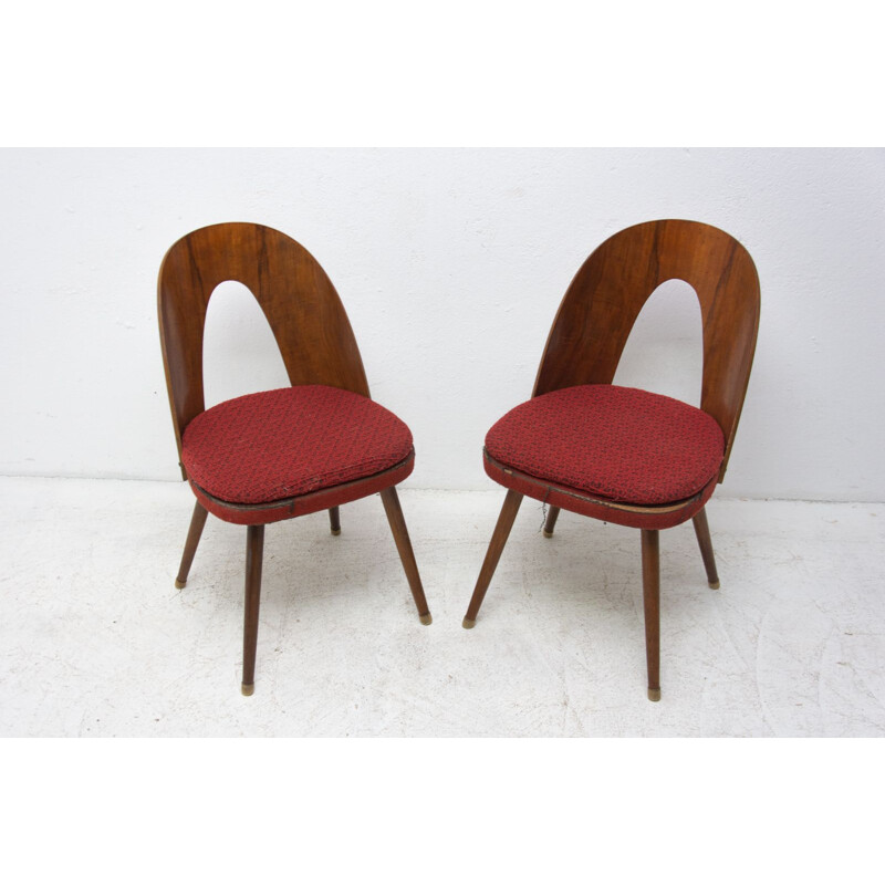 Ein Paar Vintage-Stühle aus Walnussholz und Buchenholzbeinen von Antonín Šuman für Tatra nábytok, Tschechien 1960