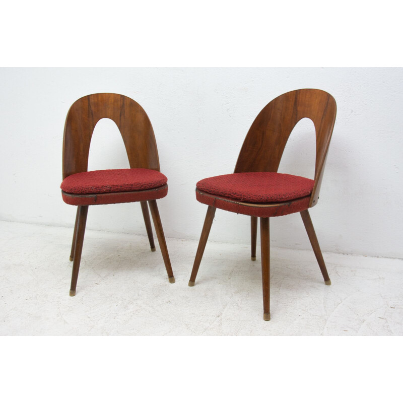 Ein Paar Vintage-Stühle aus Walnussholz und Buchenholzbeinen von Antonín Šuman für Tatra nábytok, Tschechien 1960