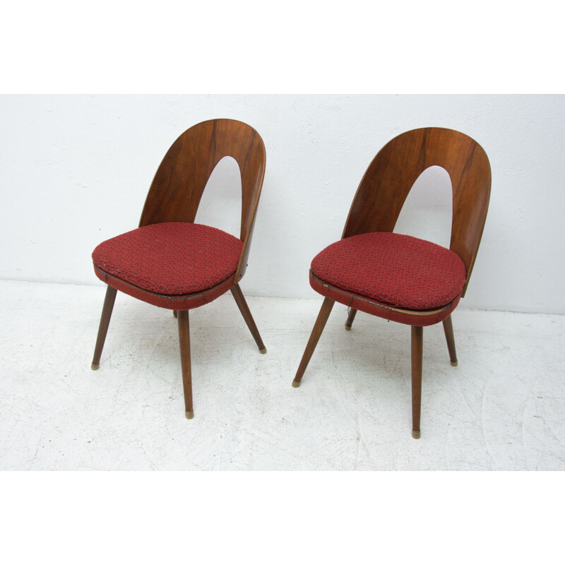 Pair of vintage walnut chairs with beech legs by Antonín Šuman for Tatra nábytok, Czech 1960