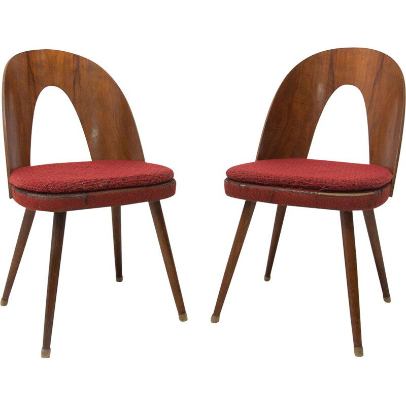 Pair of vintage walnut chairs with beech legs by Antonín Šuman for Tatra nábytok, Czech 1960