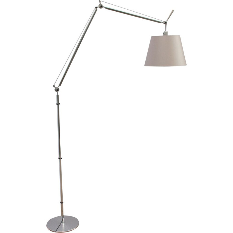 Vintage floor lamp Tolomeo Mega Terra by Artémide 2000s