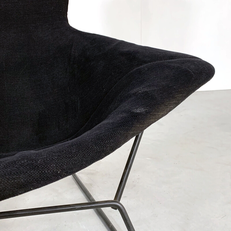 Fauteuil vintage Bird avec Revêtement en velours noir par Harry Bertoia pour Knoll 1960