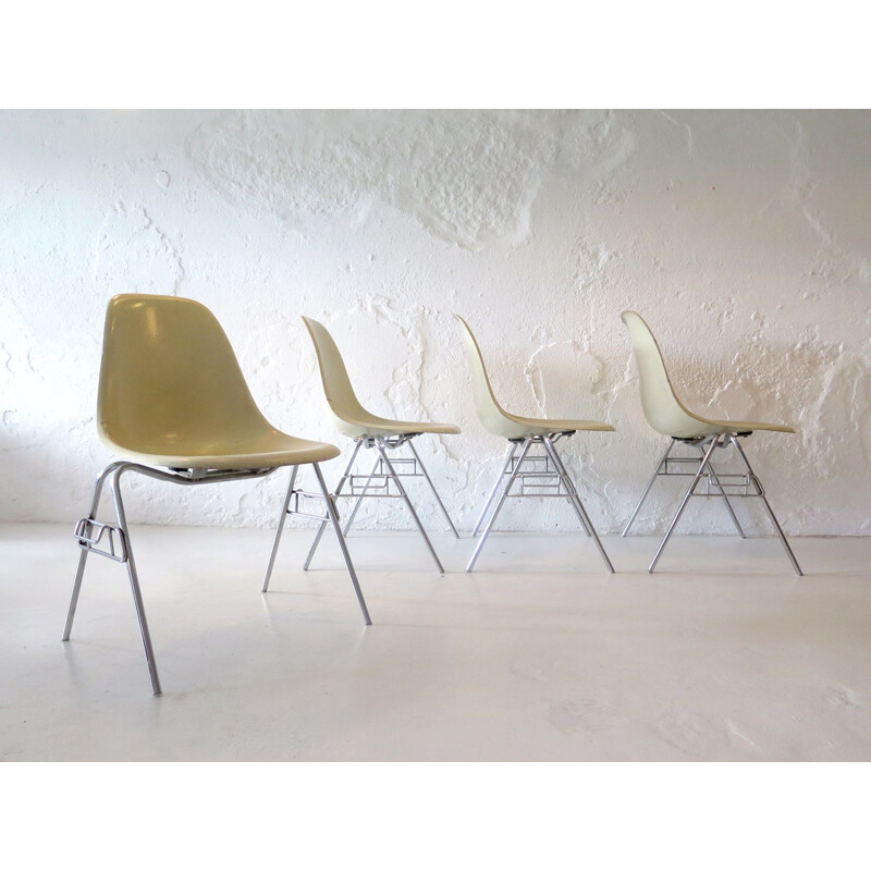 Set di 4 sedie vintage Eames DCW in fibra di vetro