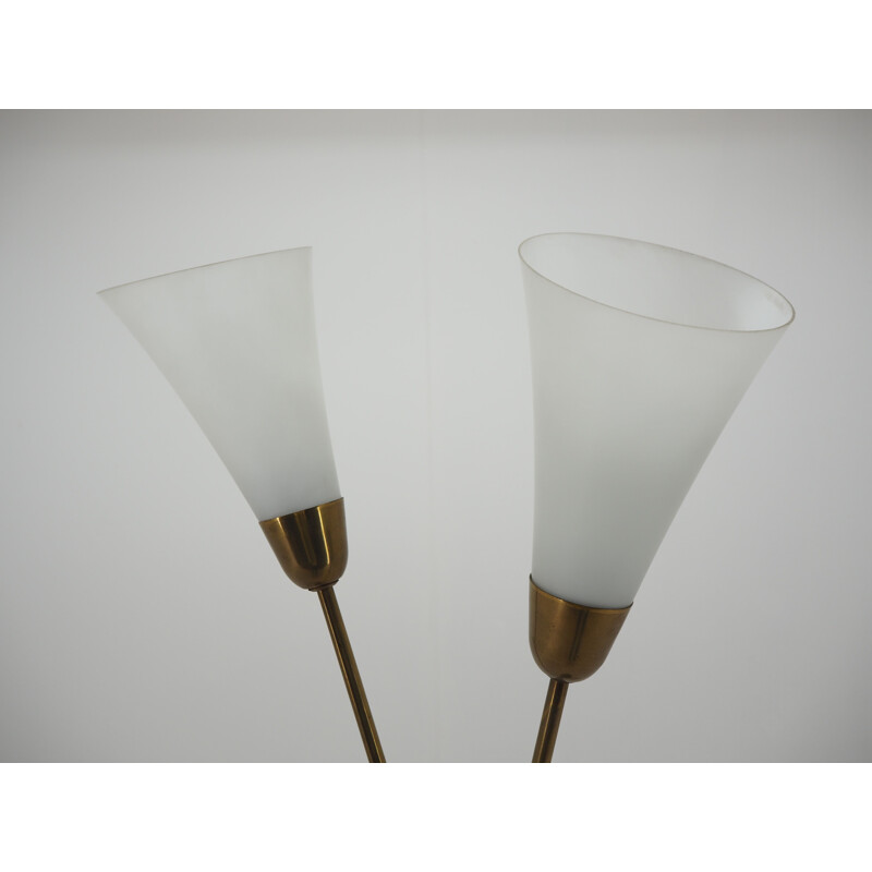 Midcentury Floor Lamp Czechoslovakia 1960s