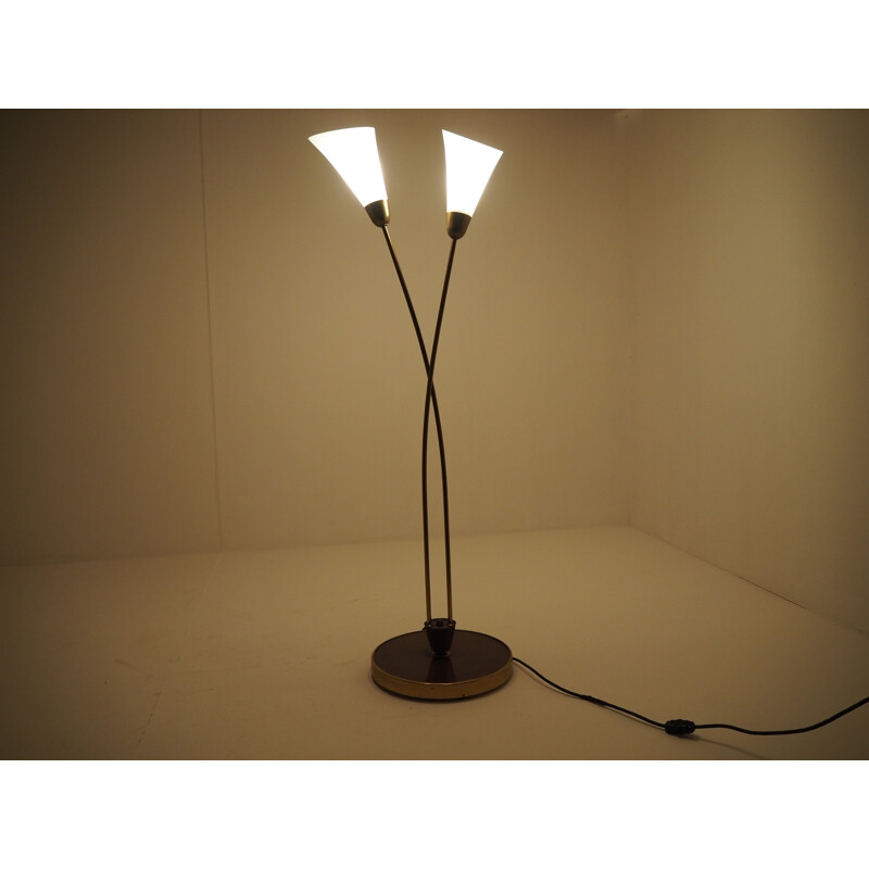 Midcentury Floor Lamp Czechoslovakia 1960s